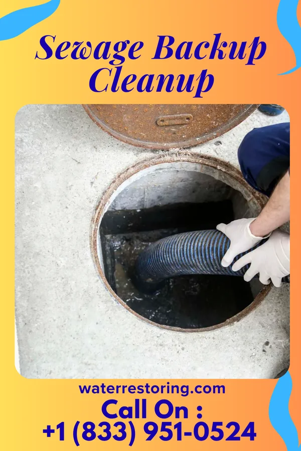Sewage Backup Cleanup in Farrell, PA